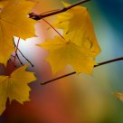 Seasons Change.